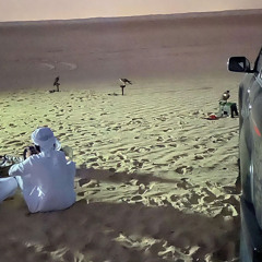 شح النصيب و يقصر الحظ عن لاماك َ