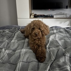 I love U94 (FTOMELLY)