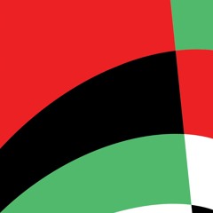 264, Mobilizing for Palestine and migrant justice in Brussels