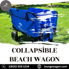 How a Collapsible Beach Wagon Makes Family Beach Trips Easier Than Ever