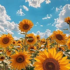 sunny days (unmastered)