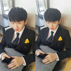 Downpour - Woozi 우지 GUIDE