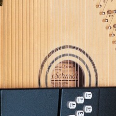 autoharp type beat