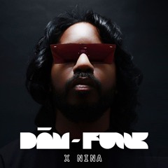 NINA Full Mix (Dām Funk - Nina Demo track)