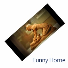Funny Home (Funky House)