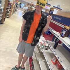 mountain lion (modico31)