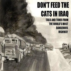 Don't Feed the Cats in Iraq