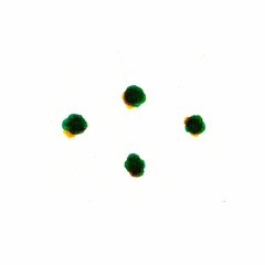 Points en croix