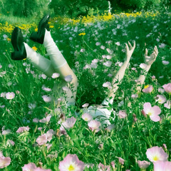 daria burnt the garden