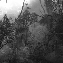 K.L.Mai@thecornershop