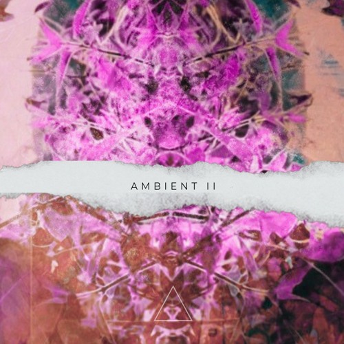Various Artists - Ambient II