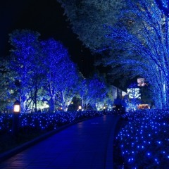 COLD-WOLF ☾𓃦 - Blues Beat