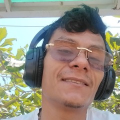 Jeff Ávila - Seré la ave