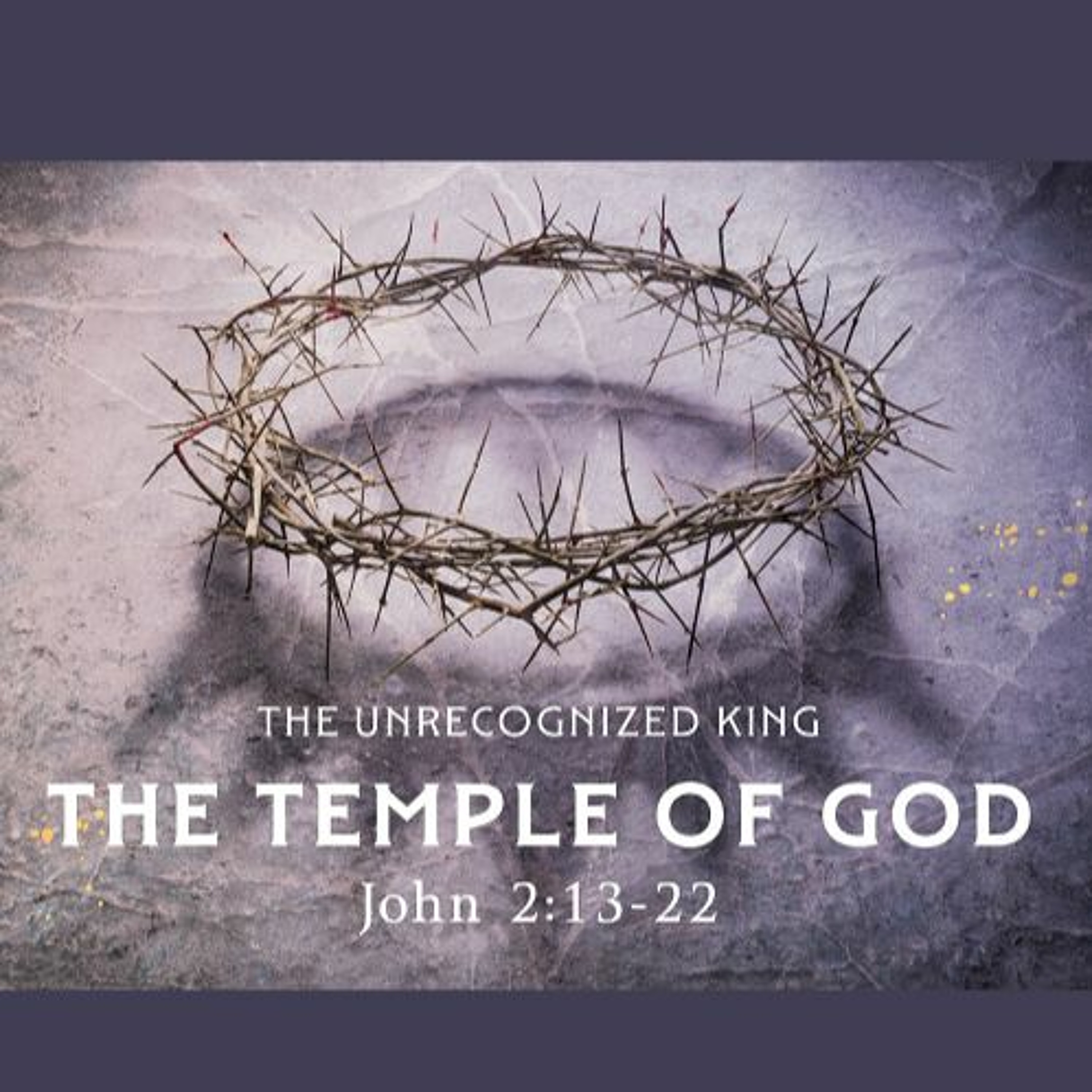 The Temple of God, John 2:13-22 (Sermon) episode artwork