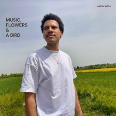 Music, Flowers & A Bird