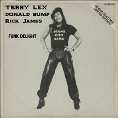 Terry Lex, Donald Bump, Rick James - Funk Delight