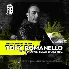 Tony Romanello - We Are Resonance Black Snake Series #12