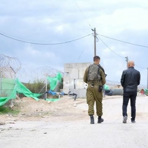 טווס גירסה רב שכבתית
