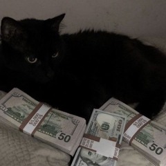 kool kat (prod. aloa)