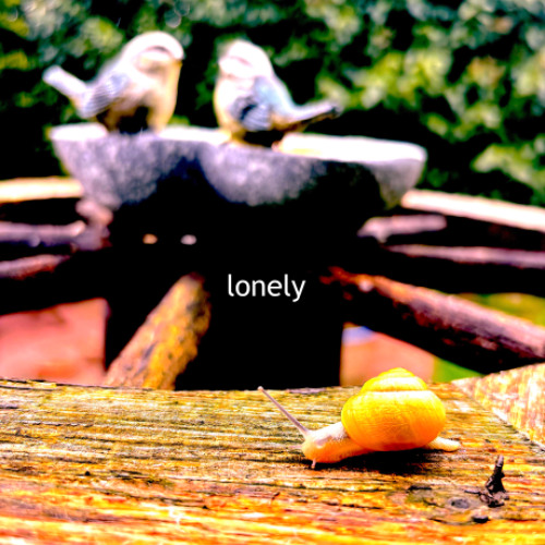 Lonely