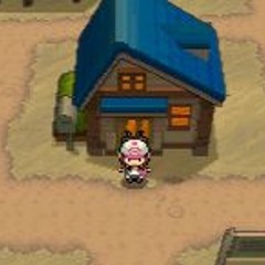 Fallen Down in Nuvema Town