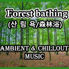 Forest bathing - Ambient & Emotional Chillout Music