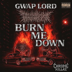 BURN ME DOWN