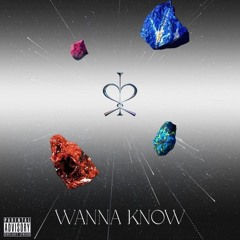 Wanna Know