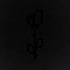 SHDW & Obscure Shape - Die Weiße Rose (Daniel Rifaterra Remix)[FREE DOWNLOAD]