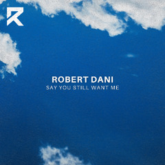 Say You Still Want Me