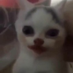 Ghostin (instrumental + Slowed Down)
