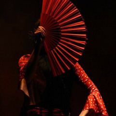 ENTRE DOS AGUAS X OJOS VERDES - MARSAL VENTURA RMX CARLA MONERA.mp3