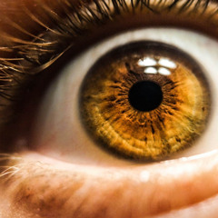 Ep. 521 Meditazione sulle coscienze sensoriali