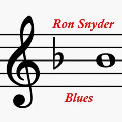 Ron Snyder - BEA FLATE BLUES (Instrumental)