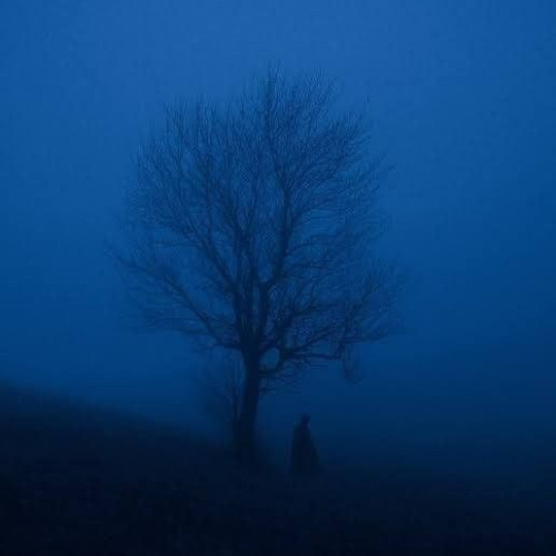 Dream Noise (Part 1)