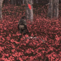 nuit noire (prod. appa)