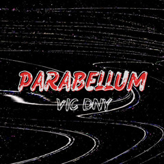 Vic & DNY - PARABELLUM (Original Mix)