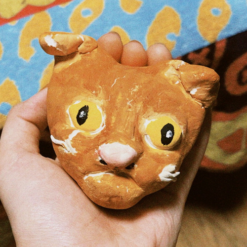 Blushing Cat