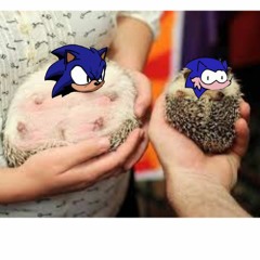 Close Chuckle but hog and faker sing it by averr on youtube