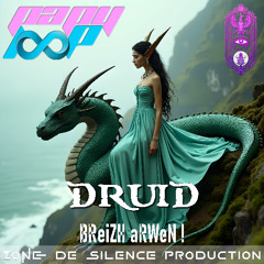 DRuiD BZH - BReiZH aRWeN !