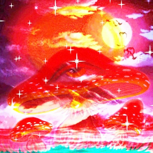 shroom tunez 😵‍💫🍄🎧 #lsdradio (full tape) {out on all plats}