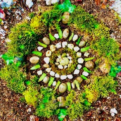 Shaking Up Spring 🌼