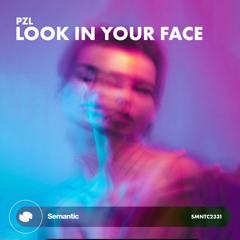PZL - Look In Your Face