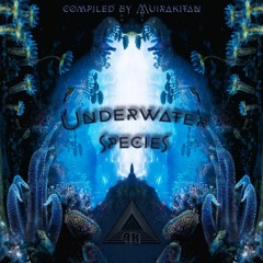 Anjukah vs Sonar - Shark Attack 150BPM Compiled By Muirakitan - V.A Underwater Species - Abstract 4K