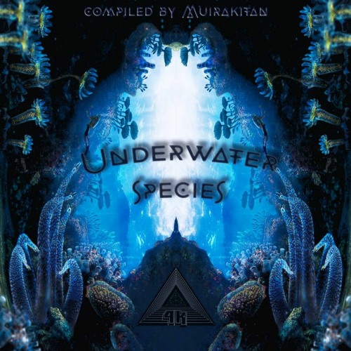 Anjukah vs Sonar - Shark Attack 150BPM Compiled By Muirakitan - V.A Underwater Species - Abstract 4K