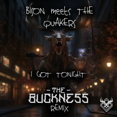 Bison & The Quakers - I Got Tonight (The Buckness 170 bpm Remix)