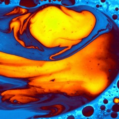 Winter 2023/2024 AMX Anthology Releases