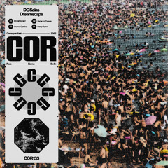 DC Salas - Crowd Control