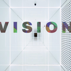 VISION