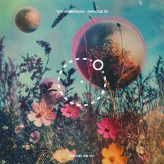 Tom Sommerson - Paradise